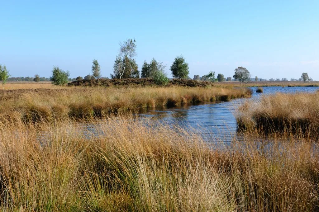 Fietsen in de Peel