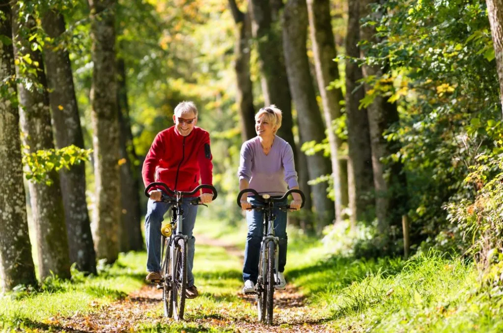 Fietsen Utrechtse Heuvelrug