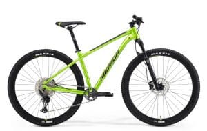 mountainbike-huren-nunspeet-fietsverhuur-veluwe