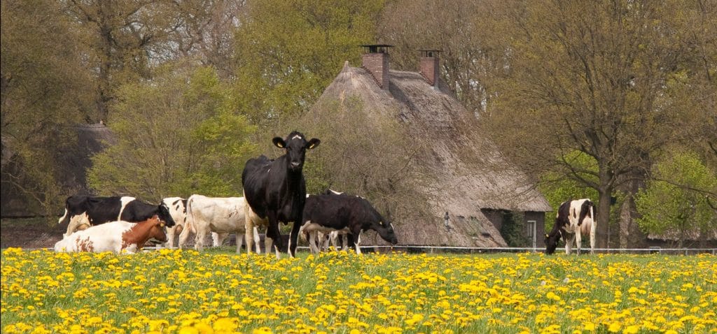 Wat te doen in Drenthe?