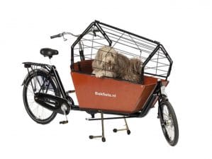 Hondenbakfiets-huren-schiermonnikoog-bakfietsverhuur