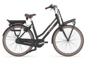 e-bike-huren-burgh-haamstede-ebikeverhuur Transport