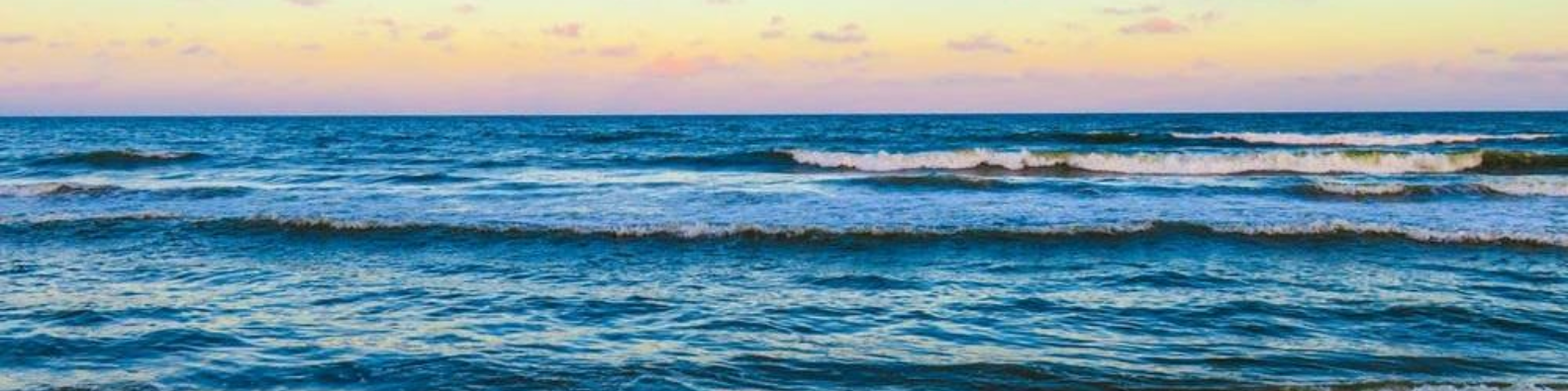 Beige Simple Elegant Personal LinkedIn Banner (4)